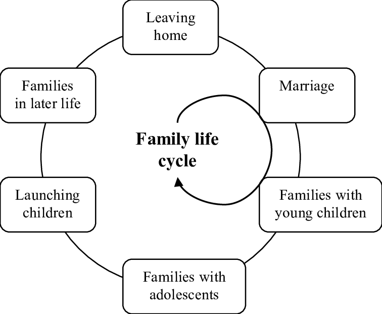 family life cycle